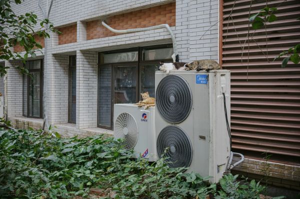 Top 5 raisons d'intégrer une pompe à chaleur dans votre logement
